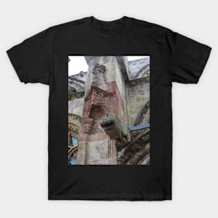 Rosslyn Chapel, Roslin, Scotland (gargoyle and detail) T-Shirt